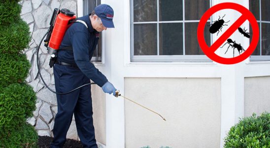 Aziziye Fare İlaçlama böcek ilaçlama ve haşere kontrolü — ilaclama-tr.com